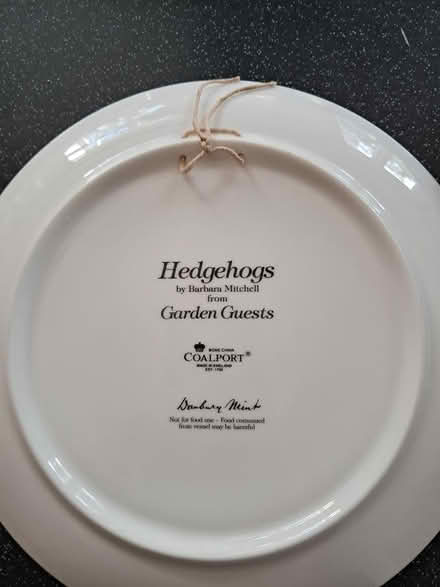 Photo of free Coalport decorative plates (Belper DE56) #4