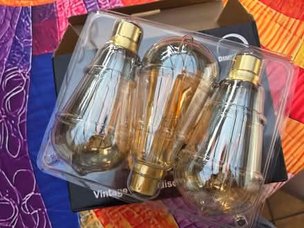 Photo of free LED Edison bulbs (Snodland) #2