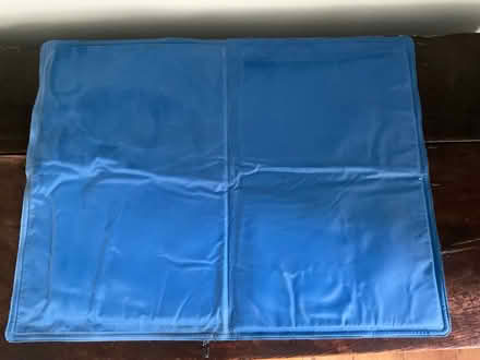 Photo of free Dog Cooling Mat (Burgess Hill RH15) #1