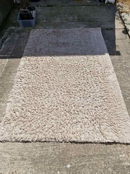 Photo of free Large Rug (Great Baddow CM2) #1