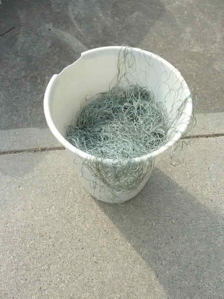 Photo of free Fishing Net (Eerett near Forest Park) #1