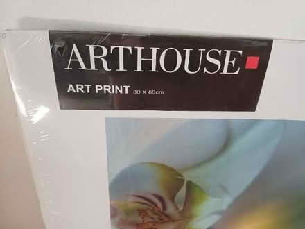 Photo of free Lovely orchid print (Hyson Green NG7) #2