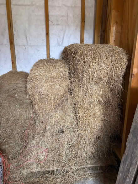 Photo of free 2025 hay and some older. (Wortham IP22) #2