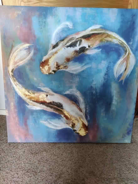 Photo of free Koi Fish print (Highfields ST17) #1