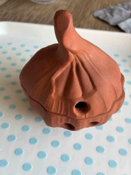 Photo of free Terracotta garlic keeper (Thatcham RG19) #1
