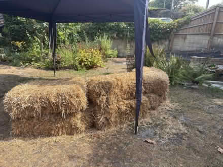 Photo of free Hay bales (RH20) #2