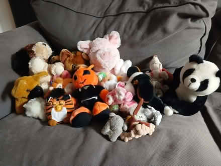 Photo of free Assorted soft toys (Divinity Road OX4) #1