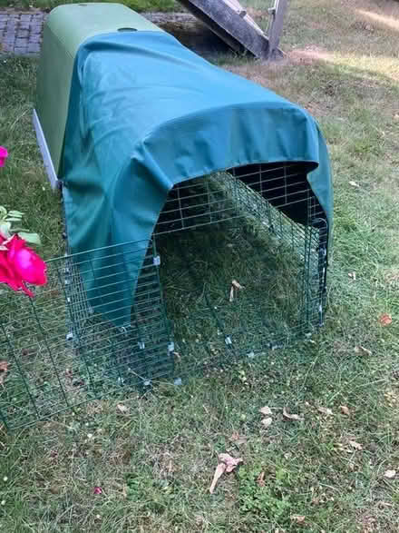 Photo of free Omlet Guinea Pig House (Haywards Heath RH16) #3