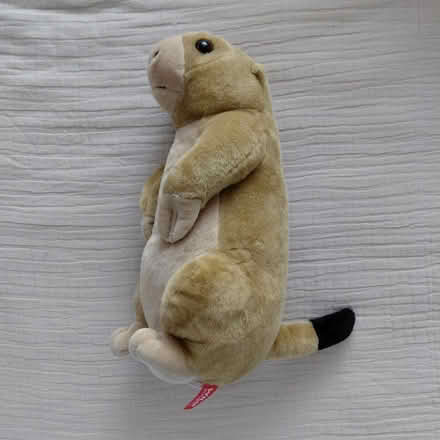 Photo of free Prairie dog plush (Union City) #1