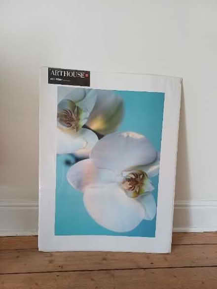 Photo of free Lovely orchid print (Hyson Green NG7) #1