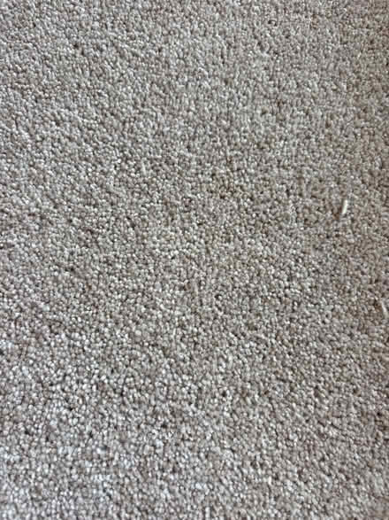 Photo of free Carpet off cuts - brand nee (AL4 Wheathampstead) #2