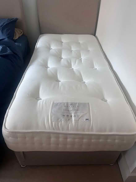 Photo of free Single Bed (Poole Quay BH15) #2
