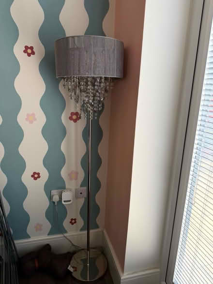 Photo of free Lovely standard lamp from NEXT (Spondon derby DE21) #1