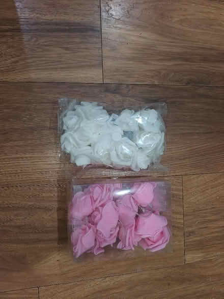 Photo of free Led roses pink and white (Bruntsfield EH10) #1