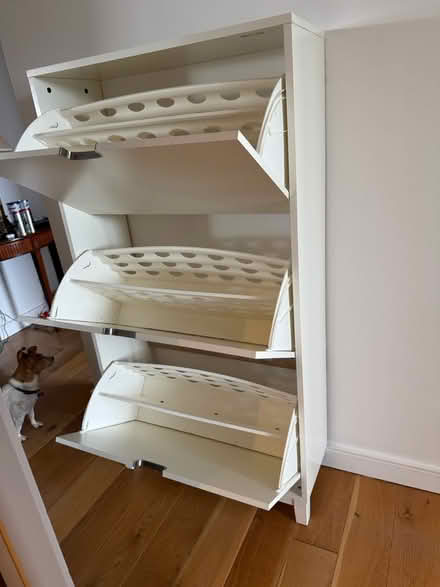 Photo of free IKEA shoe storage (Milltown, Dublin 6.) #2
