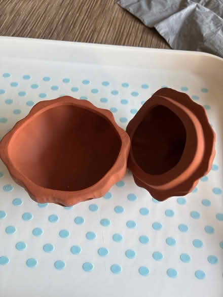 Photo of free Terracotta garlic keeper (Thatcham RG19) #2