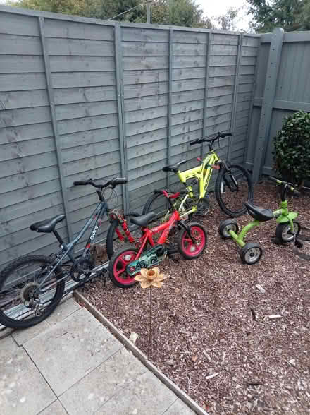 Photo of free Surplus Kids bikes, toddler trike (Caernarfon. LL55) #1
