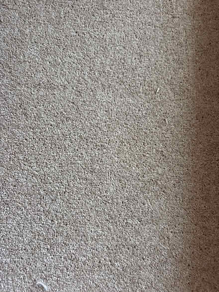 Photo of free Carpet off cuts - brand nee (AL4 Wheathampstead) #1