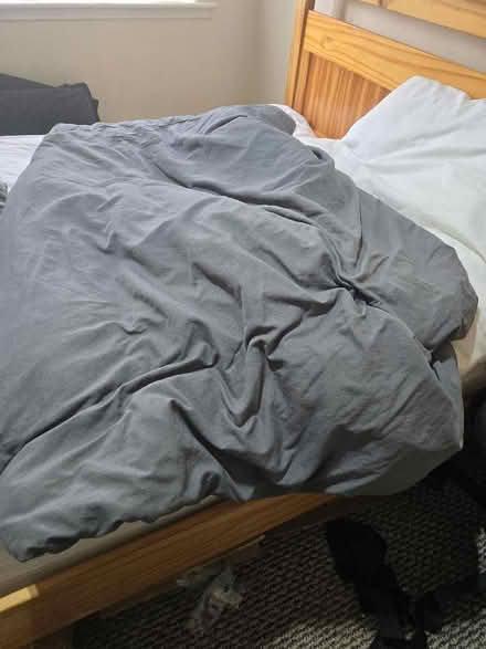 Photo of free 2 x duvet (Forgewood ML1) #3