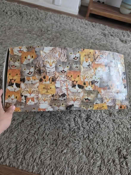 Photo of free Large cat print storage box (Mordon) #1