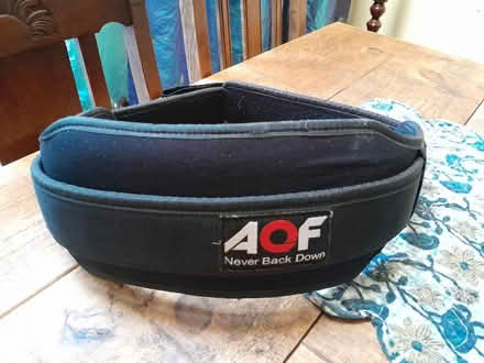Photo of free Weightlifting Belt (Earley RG6) #1