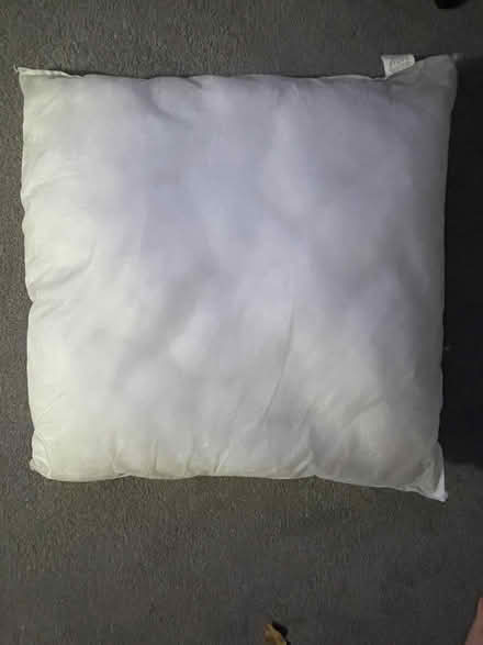Photo of free Large cushion inner/filler (High Heaton NE7) #1