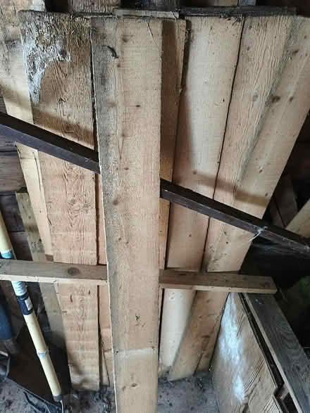 Photo of free Oak fencing panels (Cheam SM2) #1
