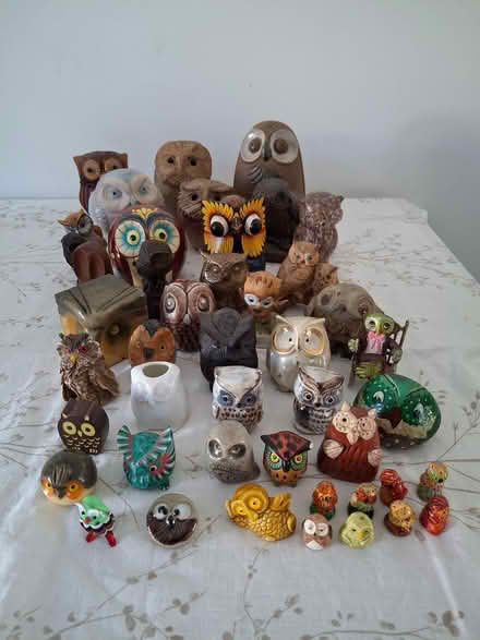 Photo of free Owl collection (Nantwich CW5) #1