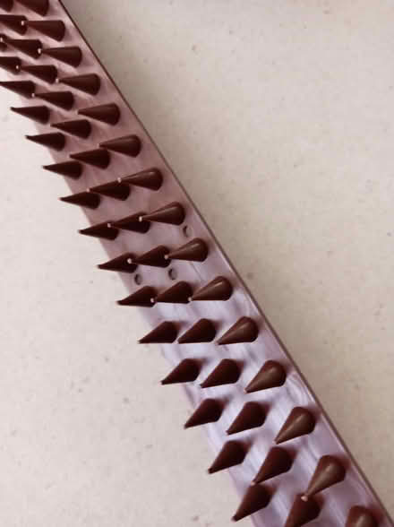 Photo of free Fence deterant (TN24) #2