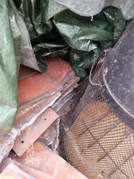 Photo of free Rosemary tiles (Greasby CH49) #2