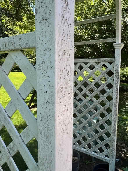 Photo of free PVC Garden Arbor (West Windsor New Jersey) #3