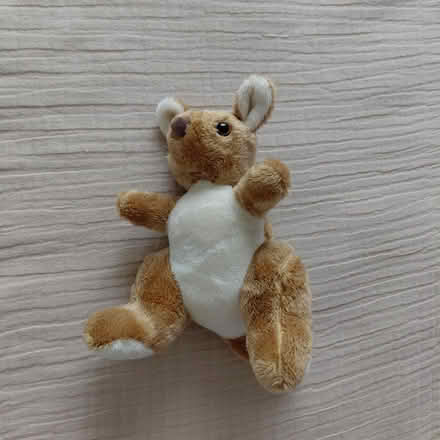Photo of free Small kangaroo plush (Union City) #1