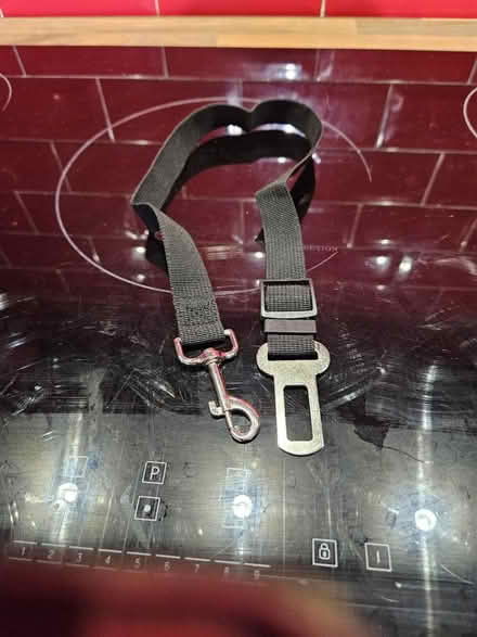 Photo of free Dog restraint for car (Da1 2 dartford) #1