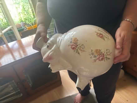 Photo of free Money pig (Garden City OX5) #1
