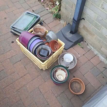 Photo of free Plant pots & trays (Hampsthwaite HG3) #1