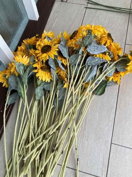 Photo of free Artificial Sunflowers (Letchworth SG6) #1