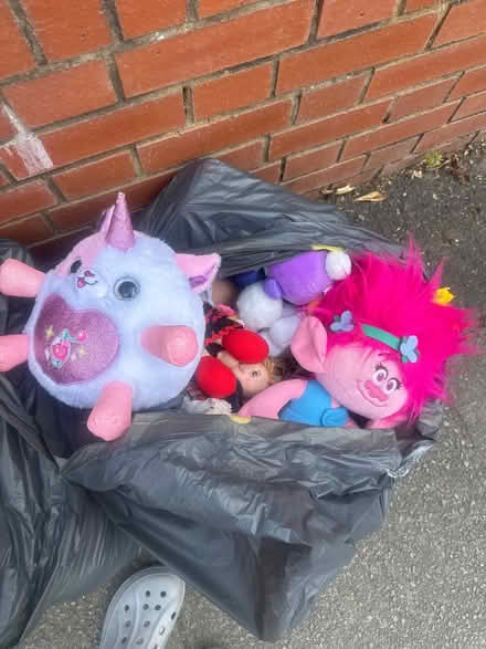 Photo of free Massive toy and book clear out (Wimbledon Chase SW20) #4