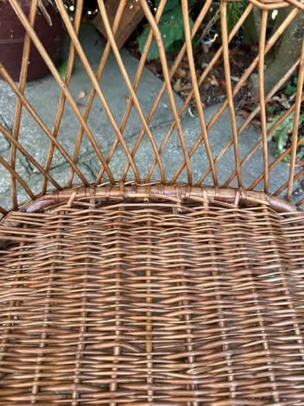 Photo of free Large wicker chair (Shaldon TQ14) #2