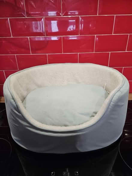 Photo of free Small dog bed (Da1 2 dartford) #1