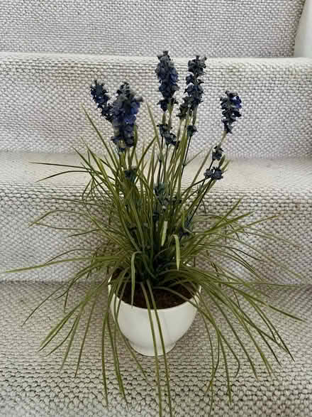 Photo of free Artificial plant in pot (Bexley DA5) #1