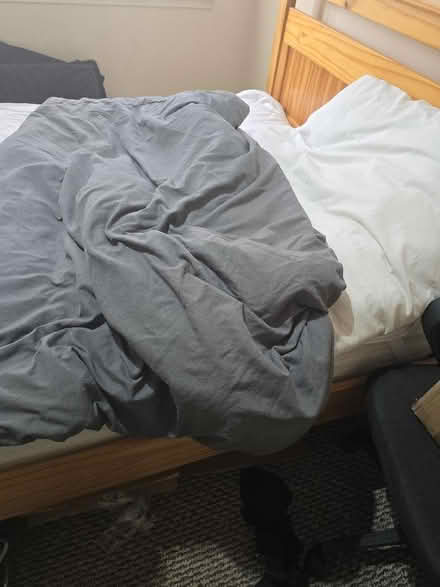 Photo of free 2 x duvet (Forgewood ML1) #1