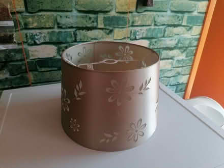 Photo of free Lampshades (Barton OX3) #2