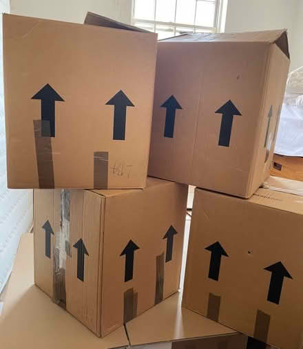 Photo of free 4 large packing boxes (Kemptown BN2) #1