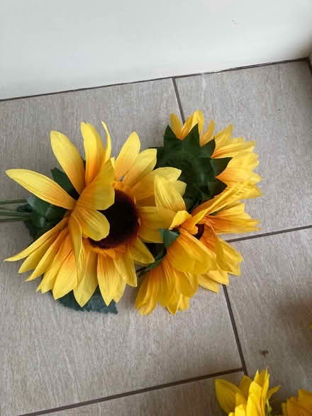Photo of free Artificial Sunflowers (Letchworth SG6) #3