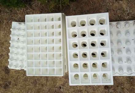 Photo of free Polystyrene seed trays (West Worthing BN13) #1