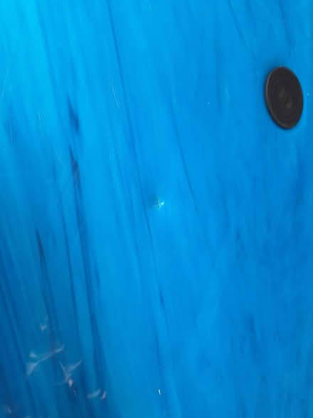 Photo of free Body board (Hove BN3) #3