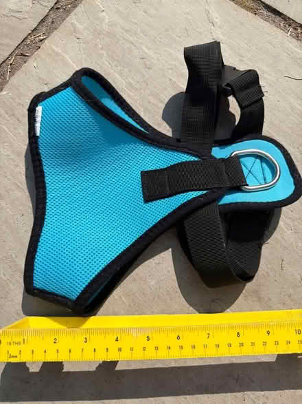 Photo of free XL dog harness (Twerton, BA2) #2