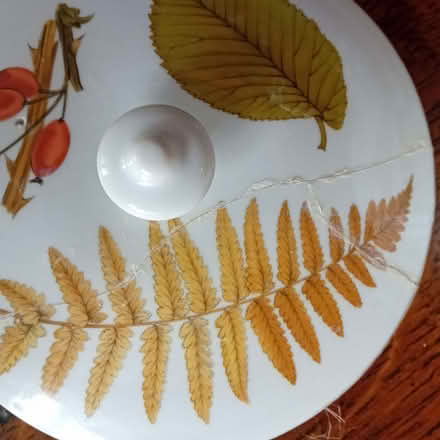 Photo of free Two Royal Worcester Wild harvest dishes with repair as shown (Kingston Hill ST18) #4