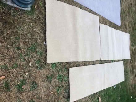 Photo of free 4 carpet off cuts (Sedlescombe Street TN33) #2