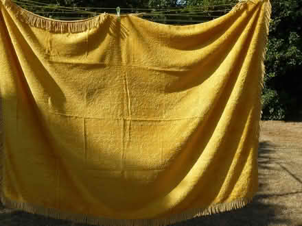 Photo of free Gold colour cotton chenille tablecloth W:50" L:72" (Kempsey WR5) #1